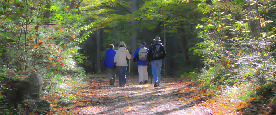 Smoky-Mountains-hiking-1232453-header_pixabay